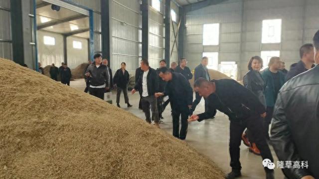 乌兰察布市饲草产业生产新模式示范推广现场观摩会在丰镇隆重召开