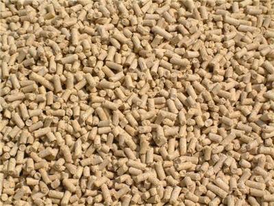 青州市六丰牧业官方-问一问!【乳猪浓缩饲料生产厂家】哪家靠谱?-六丰、反刍动物营养、肉牛羊饲料、肉牛养殖、肉羊养殖、反刍饲料、