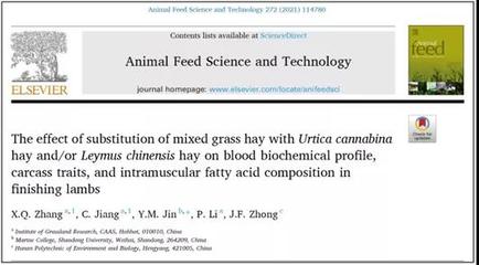 [创新内蒙古]科研人员发现麻叶荨麻能提高羊肉营养品质