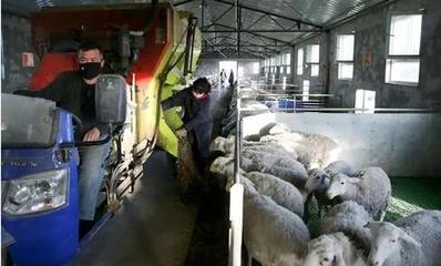 在脱贫大考中交出一份合格答卷——来自新疆和田地区脱贫攻坚一线的战报