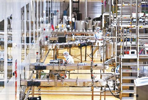 饲料科在武汉市农业发展中的角色与职能