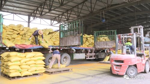 浠水海大饲料 以产品为舵，服务为帆，护航养殖业发展