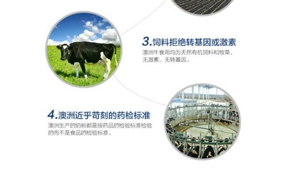 澳洲德运奶粉的浓郁奶香 为何消费者一致称赞