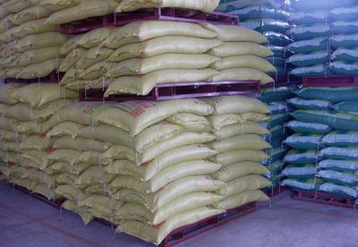 科鑫553生长肥育猪配合饲料 助力高效养殖的科学选择