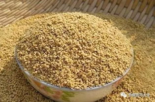 DIY自制钓鲫鱼饵料配方 从入门到精通的饲料科学