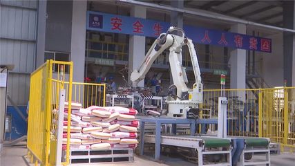 年产值10亿元！湖北丹富仕饲料项目建成投产，为畜牧养殖注入强劲动力