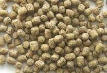 曲阜汇达农林机械有限责任公司 饲料科的核心职能与技术创新